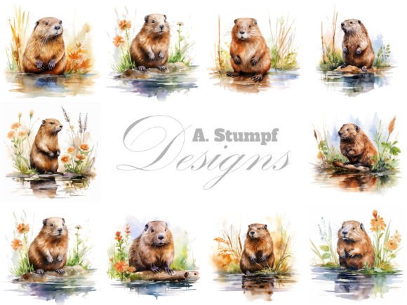 Beaver Clipart Watercolor Animal Bundle: Design Applications