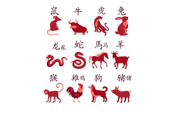 Chinese Zodiac Animal Chart with Symbols: A Designer’s Guide to Eastern Aesthetics