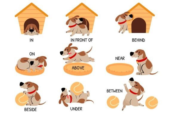 Designing with Delight: Using Prepositions and Cute Animals